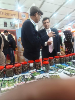 Jari Booti Expo – photo 9